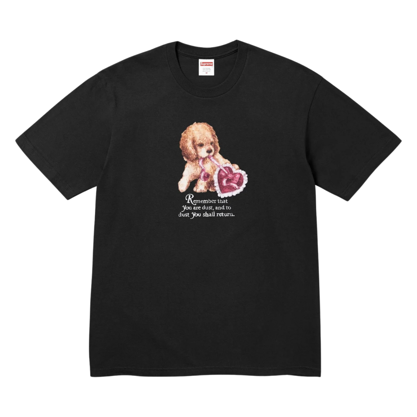 Camiseta Supreme Dust Preta